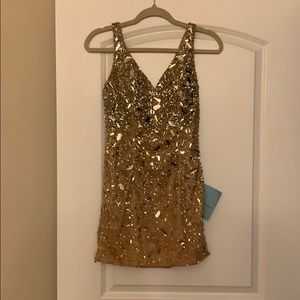Terani Couture Dress